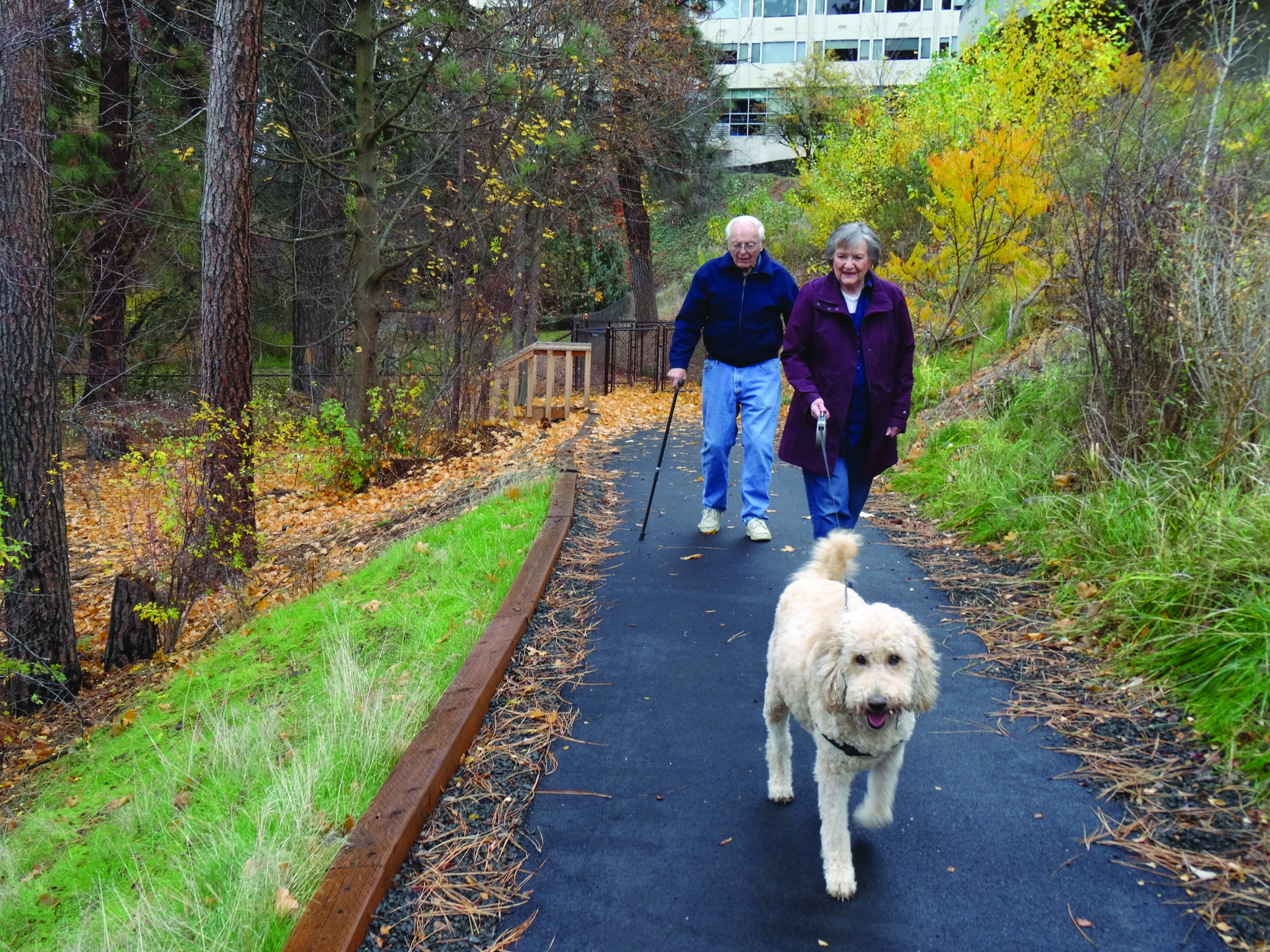 Paved Path to Dog Park